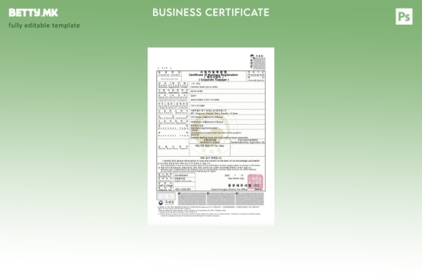 модерен стил Јужна Кореја сертификат за регистрација на бизнис Шаблон за Word и 